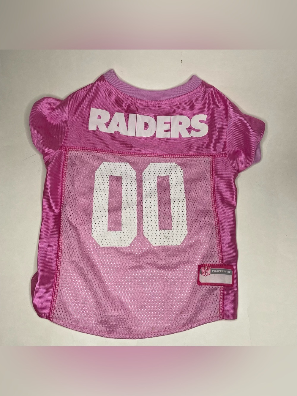 NFL Las Vegas Raiders Dog Pink Jersey Sz Medium Sports Team Fanatic Logo Mesh